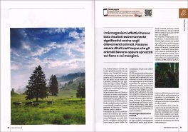 Terra Nuova - Giugno 2025 - N. 416 — Rivista - 3