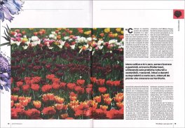Terra Nuova - Luglio-Agosto 2025 - N. 417 — Rivista - 3