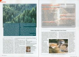 Terra Nuova - Ottobre 2022 - N. 386 — Rivista - 3