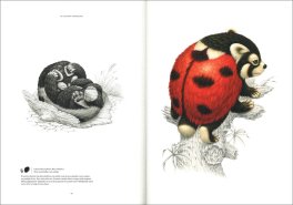 Terra Ultima — Libro - 3
