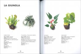 Terrarium — Libro - 3