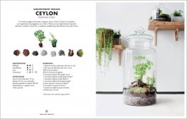 Terrarium — Libro - 4