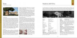 Terre d'Olio  — Libro - 2