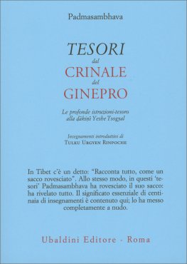 Tesori dal Crinale del Ginepro — Libro - 1