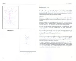 Test Proiettivi — Libro - 3