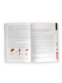 The Biological Meaning of Music from the Point of View of the Germanic New Medicine® — Libro - 3