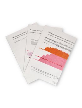 The Biological Meaning of Music from the Point of View of the Germanic New Medicine® — Libro - 2