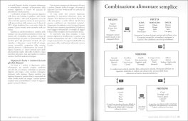 The Detox Miracle - Guida Completa  — Libro - 3