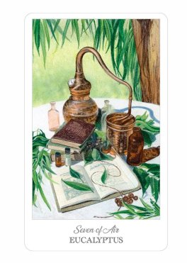 The Herbcrafter's Tarot - 4