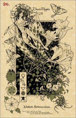 The Magickal Botanical Oracle - 4
