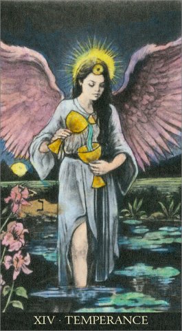 The Soul Seeker Tarot - 11