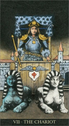 The Soul Seeker Tarot - 12