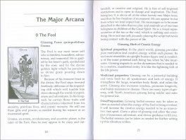 The Spirit of Herbs — Book - 3