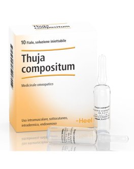 Thuja Compositum Heel 10 Fiale - 1