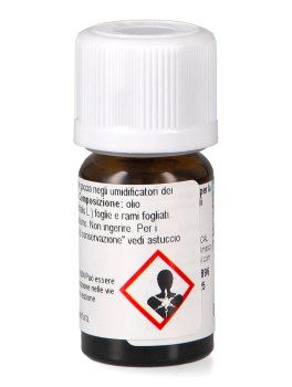 Thuja Olio Essenziale - 4