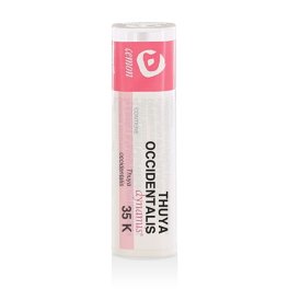 Thuya Occident 35K Gr - 1
