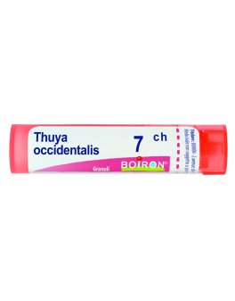 Thuya Occidentalis 7CH Granuli Boiron - 1