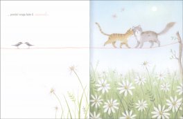 Ti Chiedo Scusa — Libro - 3
