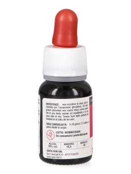 Tiglio - Basegemmo - 4