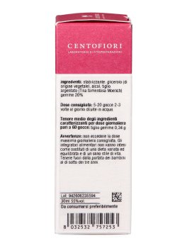 Tiglio - Basegemmo - 6