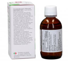 Tiglio - Gemmoderivato - 3