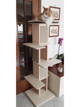 Tiragraffi Towercat Slim - 6