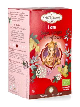 Tisana Ayurvedica - I Am - 1