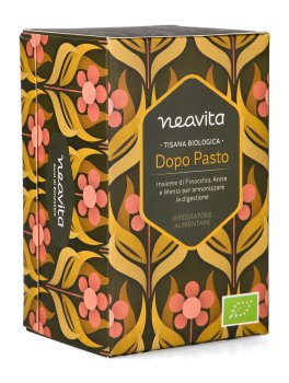 Tisana Biologica in Filtri "Dopo Pasto" - 1