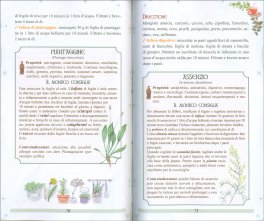 Tisane e The — Libro - 2
