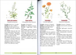 Tisane, Infusi, Decotti e Oli Essenziali — Libro - 3