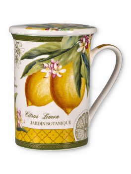 Tisaniera in Porcellana - Fruit Infuser Set - 1