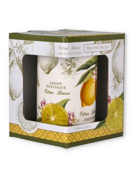 Tisaniera in Porcellana - Fruit Infuser Set - 2