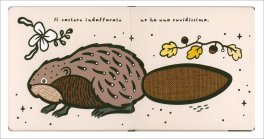 Tocca e Senti - Code — Libro - 3