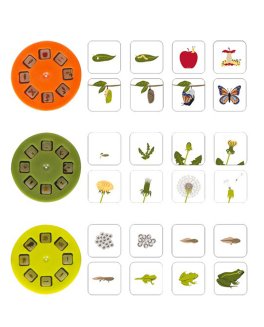 Torcia e Proiettore "Discover" - 13