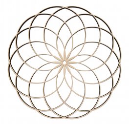 Toroide in Legno di Betulla