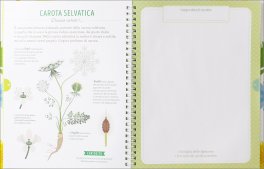 Tra Foglie e Fogli - Il Mio Erbario — Libro - 3