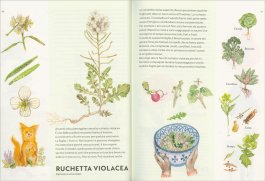 Tra le Erbe di Campo — Libro - 3