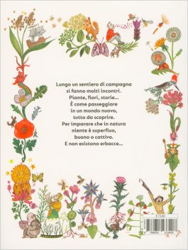 Tra le Erbe di Campo — Libro - 2