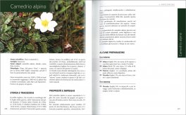 Trattato di Fitoterapia - Aggiornamento 2021 — Libro - 4