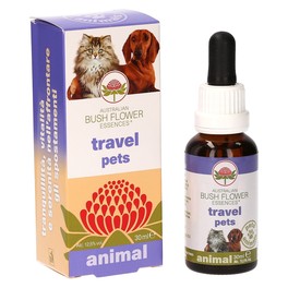 Travel Pets Animal - 1