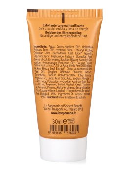 Scrub Corpo Tonificante Ginkgo Bio e Vitamina C - 2
