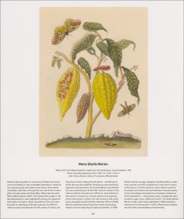 Tree - Exploring the Arboreal World — Libro - 3