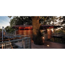 Tree Houses  — Libro - 3