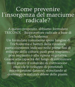 Trico Sol - Bioprotettore Radicale Bio per Piante - 7