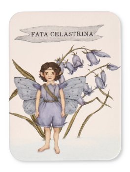 Trova le Fate — Libro - 5