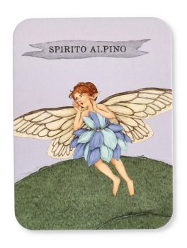 Trova le Fate — Libro - 4