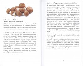 Tu Puoi Guarire — Libro - 3