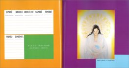 Tu Sei Colore — Agenda - 3