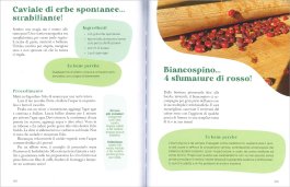 Tu Sei Natura — Libro - 3