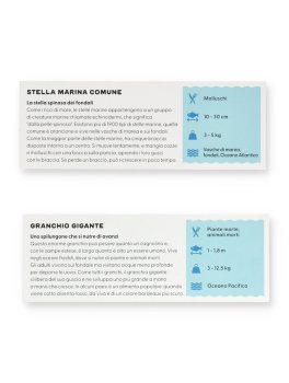 Tuffati nell'Oceano - Visore 3D Immersivo - 5